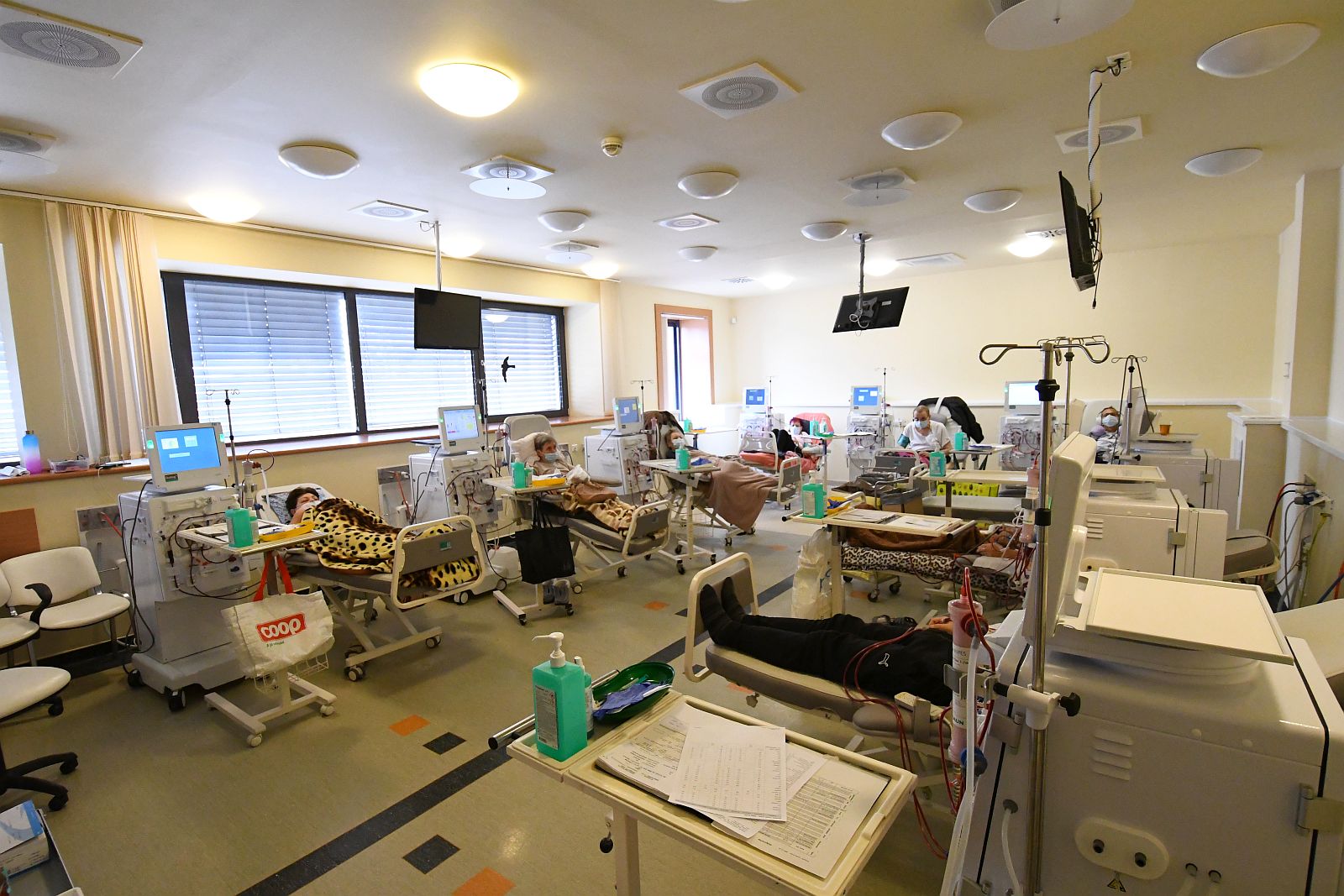 A vese világnapja - megfelelő életmód és étrend az egészséges vesékért